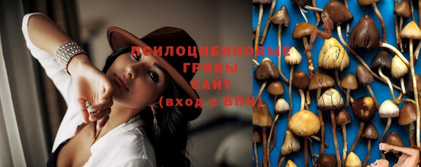 индика Аркадак