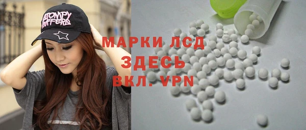 индика Аркадак