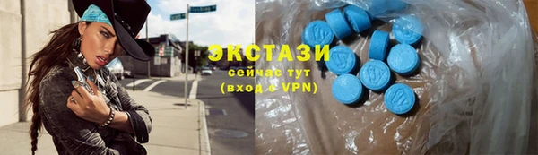 индика Аркадак