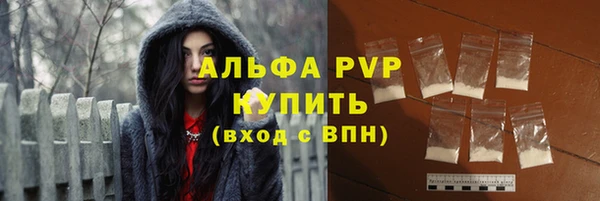 индика Аркадак