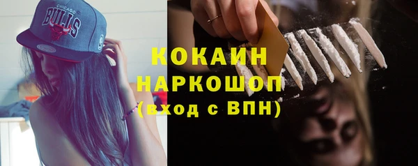 индика Аркадак