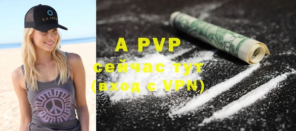 индика Аркадак