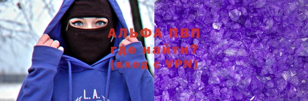 индика Аркадак