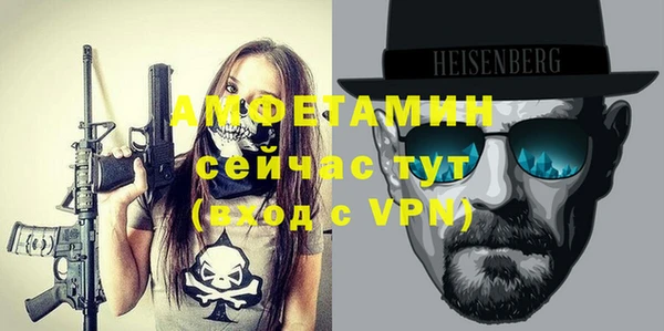 индика Аркадак