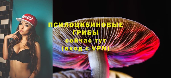 первитин Новокубанск