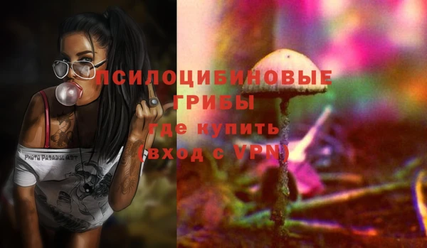 индика Аркадак